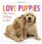 Love Puppies  by Sellers Publishing Inc, 9781416205180