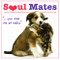 Soul Mates - 9781416209645 by Robin Haywood, 9781416209645