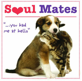 Soul Mates - 9781416209645 by Robin Haywood, 9781416209645