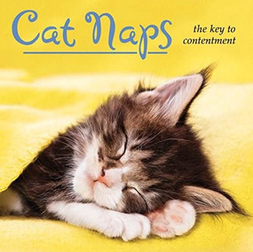 Cat Naps by Robin Haywood, 9781416245230