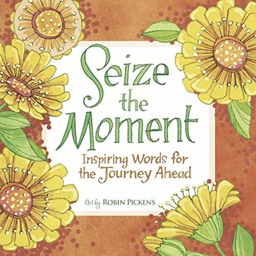 Seize the Moment by Robin Pickens, 9781416245155