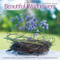 Beautiful Wildflowers by Edle Catharina Norman, 9781416245032