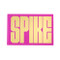 SPIKE by Spike Lee, 9781797203850