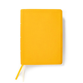 CSB Lifeway Women's Bible, Marigold LeatherTouch by CSB Bibles by Holman, Lifeway Women, 9781087757513