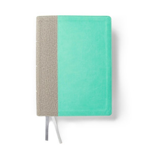 CSB Lifeway Women's Bible, Gray/Mint LeatherTouch by CSB Bibles by Holman, Lifeway Women, 9781087757537