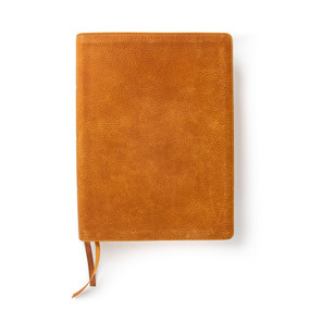 CSB Lifeway Women's Bible, Butterscotch Genuine Leather by CSB Bibles by Holman, Lifeway Women, 9781087757551