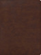 CSB Apologetics Study Bible for Students, Brown LeatherTouch by Sean McDowell, CSB Bibles by Holman, 9781087757964