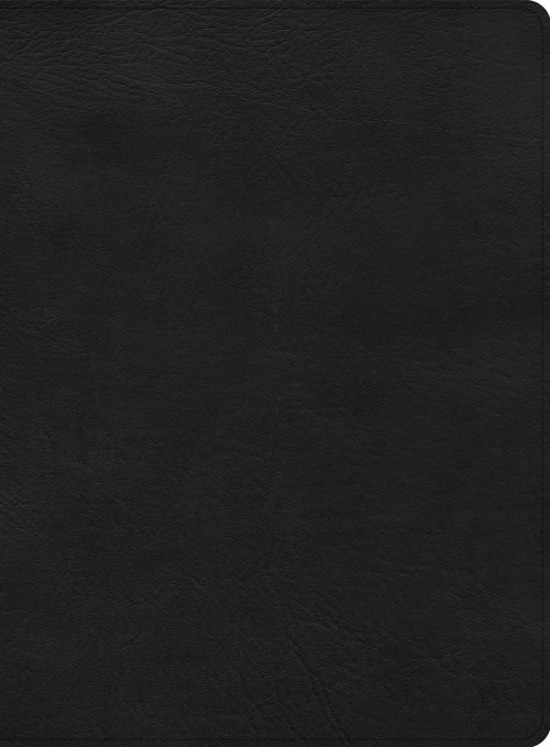 CSB Apologetics Study Bible, Black LeatherTouch by CSB Bibles by Holman, 9781087757988