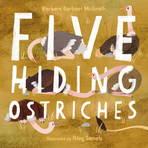 Five Hiding Ostriches by Barbara Barbieri McGrath, Riley Samels, 9781623541965