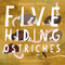 Five Hiding Ostriches by Barbara Barbieri McGrath, Riley Samels, 9781623541965