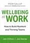 Wellbeing at Work (How to Build Resilient and Thriving Teams) by Jim Clifton, Jim Harter, 9781595622419