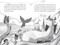 The Monster in the Lake - 9781536214949 by Louie Stowell, Davide Ortu