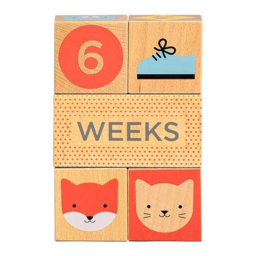 Wooden Blocks Baby Milestones by Petit Collage, 5055923778975