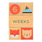 Wooden Blocks Baby Milestones by Petit Collage, 5055923778975