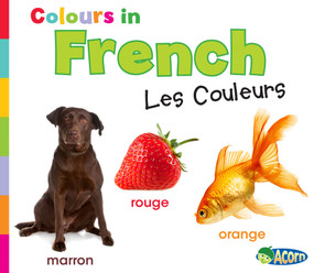 Colors in French (Les Couleurs) by Daniel Nunn, 9781432966515