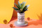 BM Planter with Drip Tray Put It Where The Direct Sun Don't Shine by Brass Monkey and Galison, 9780735368767