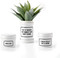 BM Planter with Drip Tray Put It Where The Direct Sun Don't Shine by Brass Monkey and Galison, 9780735368767