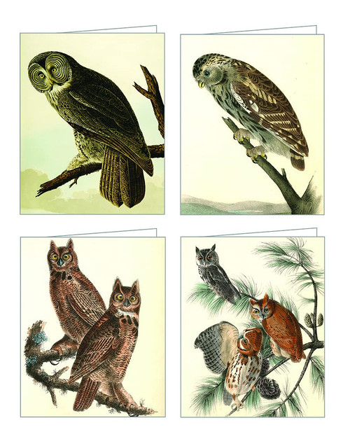 Audubon Owls (QuickNotes) by John James Audubon, 9781623258894