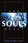 Are Souls Real? by Jerome W. Elbert, 9781573927918