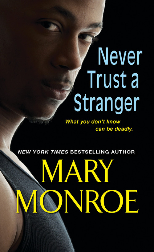 Never Trust a Stranger - 9781617738081 by Mary Monroe, 9781617738081