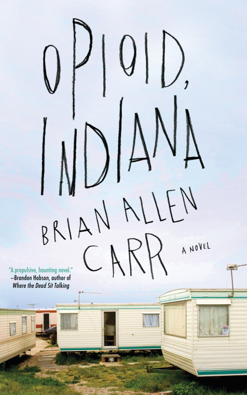 Opioid, Indiana by Brian Allen Carr, 9781641290784
