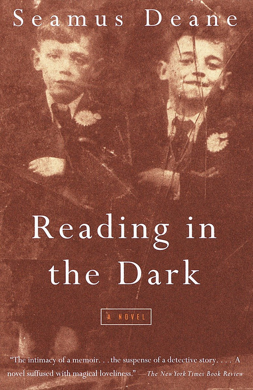 Reading in the Dark (A Novel) by Seamus Deane, 9780375700231