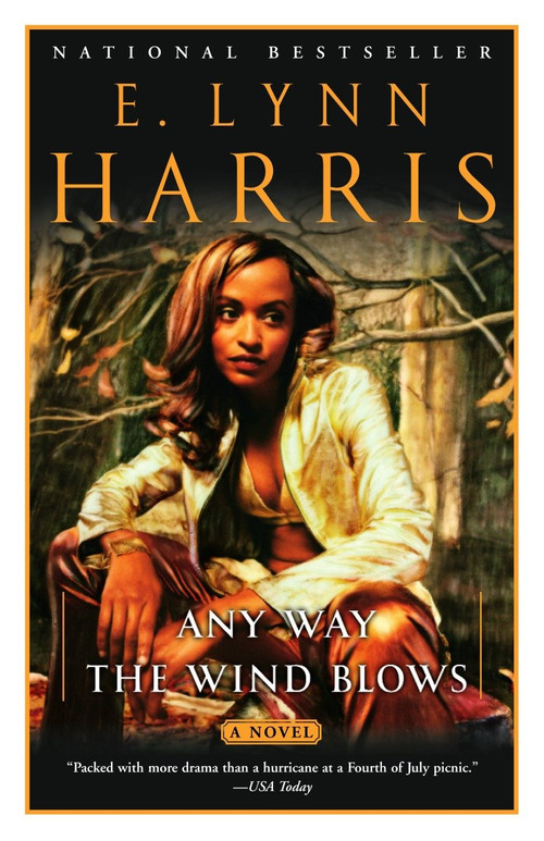 Any Way the Wind Blows (A Novel) by E. Lynn Harris, 9780385721189