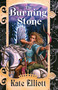 The Burning Stone by Kate Elliott, 9780756414238