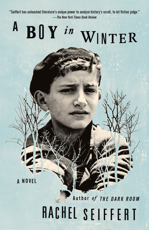 A Boy in Winter (A Novel) by Rachel Seiffert, 9780804168809
