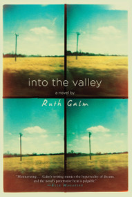 Into the Valley - 9781616957100 by Ruth Galm, 9781616957100