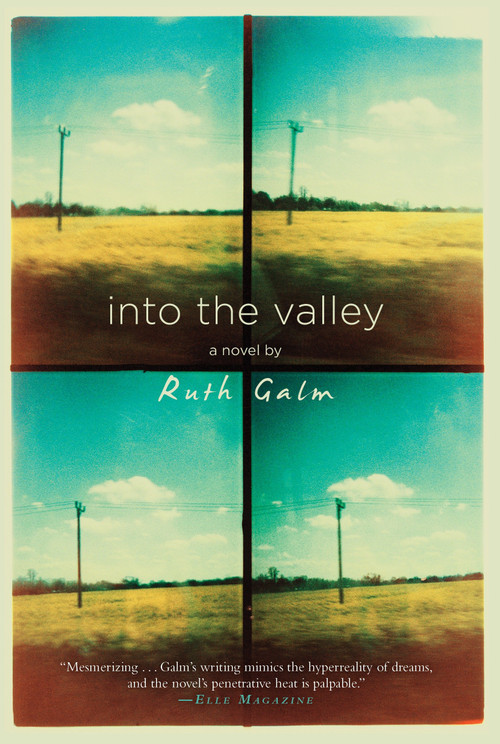 Into the Valley - 9781616957100 by Ruth Galm, 9781616957100