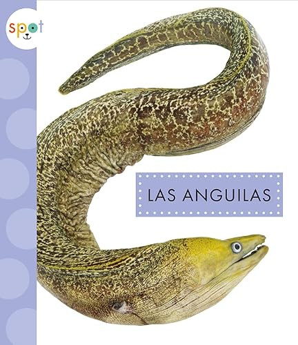 Las anguilas (Spanish Edition) by Mari Schuh, 9781681527369