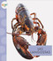 Las langostas by Mari Schuh, 9781681527376