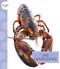 Las langostas (Spanish Edition) by Mari Schuh, 9781681527376