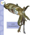 Los calamares (Spanish Edition) by Mari Schuh, 9781681527406