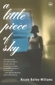 A Little Piece of Sky (A Novel) by Nicole Bailey Williams, 9780767912167