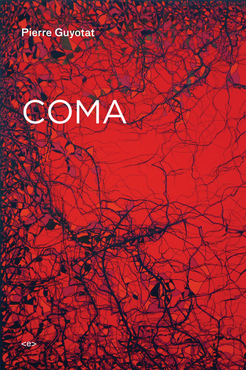 Coma - 9781584350897 by Pierre Guyotat, Gary Indiana, 9781584350897