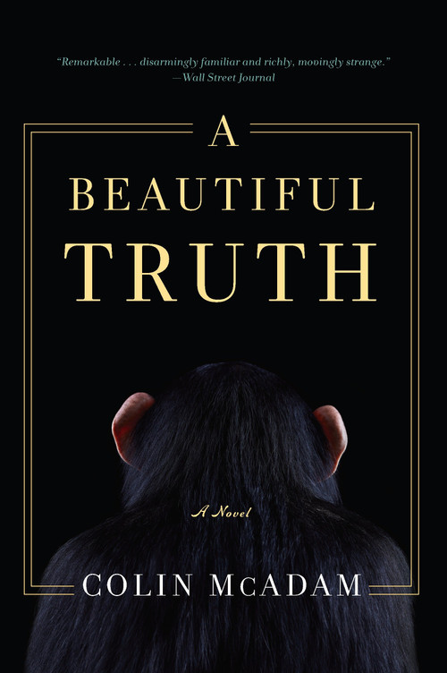 A Beautiful Truth by Colin McAdam, 9781616953782