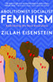 Abolitionist Socialist Feminism (Radicalizing the Next Revolution) by Zillah Eisenstein, 9781583677629