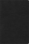 RVR 1960 Biblia de Estudio Arcoíris, negro símil piel (Spanish Edition) by B&H Español Editorial Staff, 9781087706023