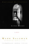 Lying Awake (A Novel) by Mark Salzman, 9780375706066