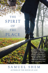 The Spirit of the Place by Samuel Shem, 9780425258781