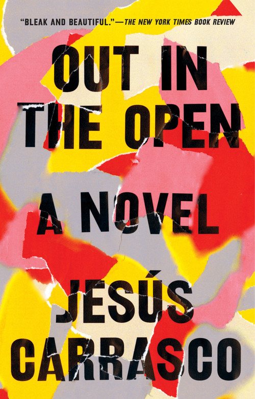 Out in the Open (A Novel) by Jesús Carrasco, 9781594634376