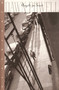 Angels on Toast by Dawn Powell, 9781883642402