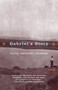 Gabriel's Story (A Novel (Hurston/Wright LEGACY Award)) by David Anthony Durham, 9780385720335