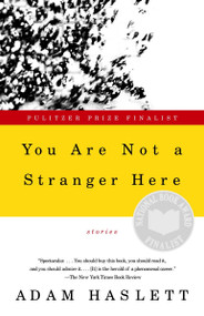 You Are Not a Stranger Here (Stories) by Adam Haslett, 9780385720724