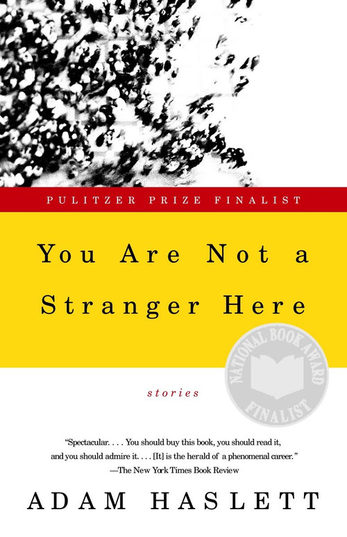 You Are Not a Stranger Here (Stories) by Adam Haslett, 9780385720724