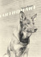 Earthquake - 9781933527116 by Susan Barnes, 9781933527116