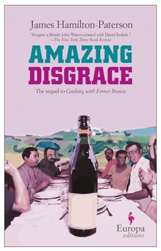 Amazing Disgrace by James Hamilton-Paterson, 9781933372198