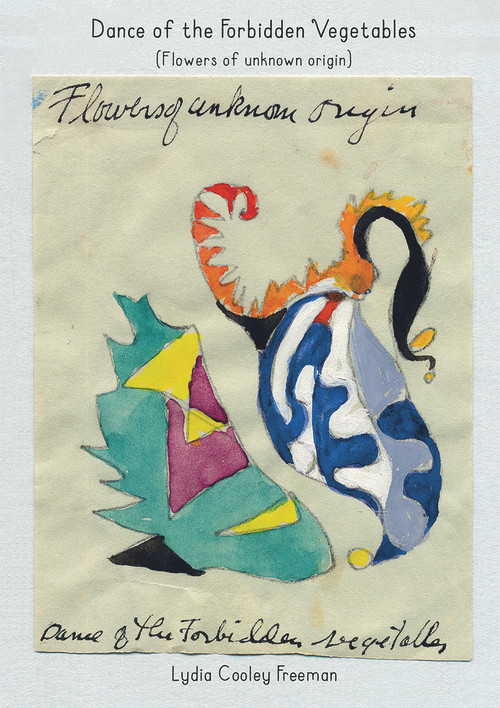 Flowers of Unknown Origin (Dance of the Forbidden Vegetables) by Lydia Cooley Freeman, 9783906945323